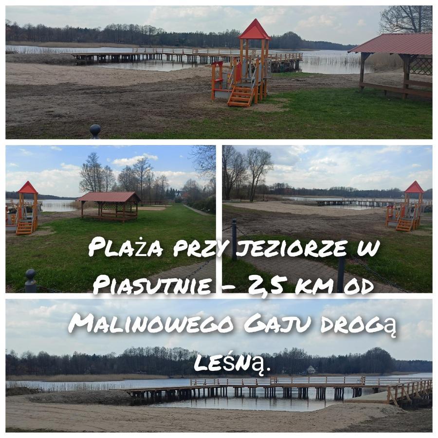 Malinowy Gaj - Agroturystyka Z Alpakami I Innymi Zwierzetami Swietajno  Exterior foto